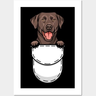 Funny Labrador Retriever Pocket Dog Posters and Art